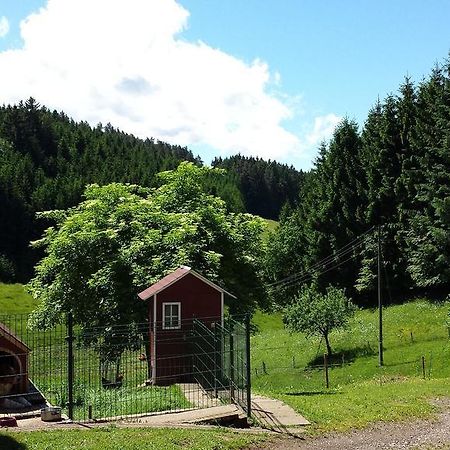 Biederbach Baden-Württemberg Ferienwohnung Ringwald מראה חיצוני תמונה