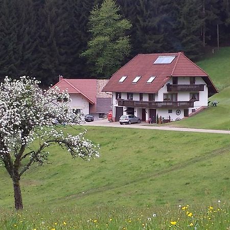 Biederbach Baden-Württemberg Ferienwohnung Ringwald מראה חיצוני תמונה