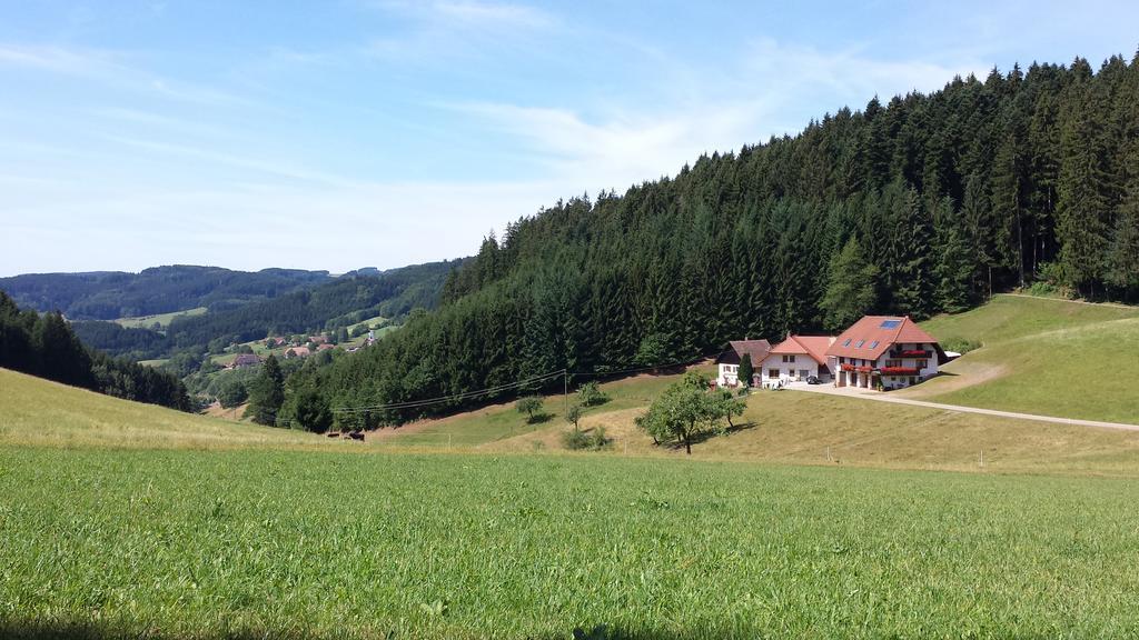 Biederbach Baden-Württemberg Ferienwohnung Ringwald מראה חיצוני תמונה