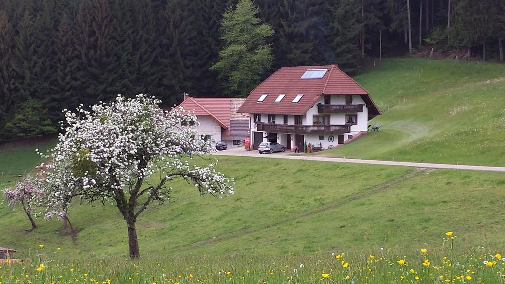 Biederbach Baden-Württemberg Ferienwohnung Ringwald מראה חיצוני תמונה